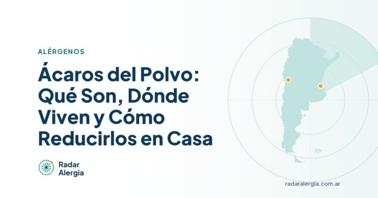 Radar Alergia: Ácaros del Polvo: Qué Son, Dónde Viven y Cómo Reducirlos en Casa