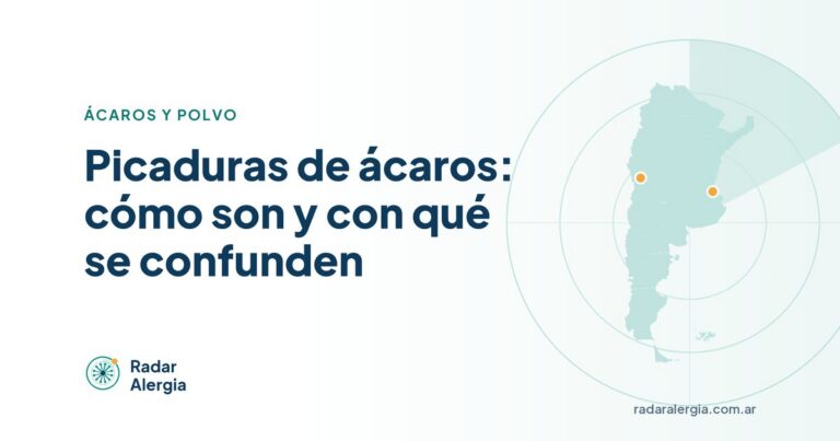 Radar Alergia: Picaduras de ácaros: cómo son y con qué se confunden