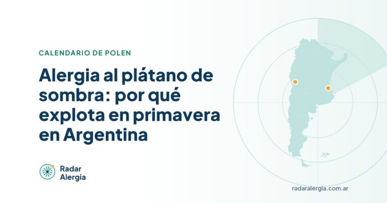 Radar Alergia: Alergia al plátano de sombra: por qué explota en primavera en Argentina