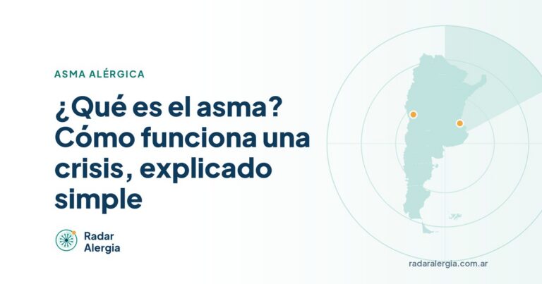 Radar Alergia: ¿Qué es el asma? Cómo funciona una crisis, explicado simple